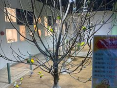 -上海大自然野生昆虫馆(东方明珠·爬宠昆虫探索中心)