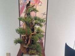 -顺峰(农展馆店)