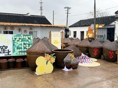 -苏州市吴中区光福窑上花果蜜饯厂