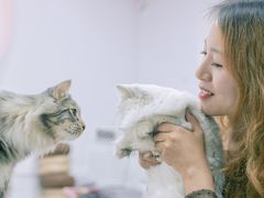 -猪盟咖啡店(玖洲道店)