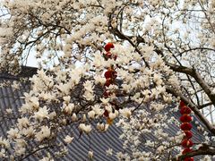 -杭州上天竺法喜讲寺