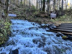 -峡谷浮石林景区