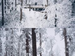 -瓦屋山景区