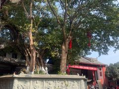 -黄龙溪古镇-古龙寺