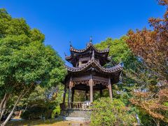 -梁鸿国家湿地公园