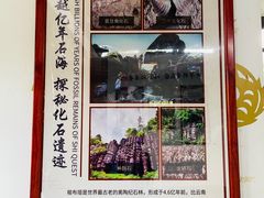 -梭布垭石林景区