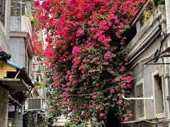 -广州西关永庆坊旅游区