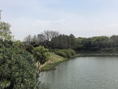 -尚贤河湿地
