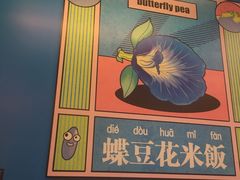 -Asianplus海蓝鸡饭