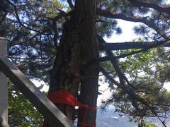 -九鼎铁刹山风景区