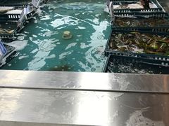 -盒马鲜生(宝地店)