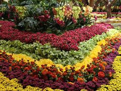 -拉斯维加斯永利酒店