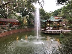 -九龙公园