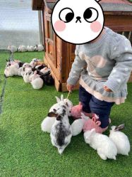 -萌宠亲子动物乐园(槐房万达店)