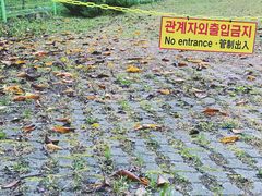 -汉拿树木园