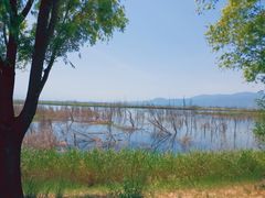-野鸭湖国家湿地公园