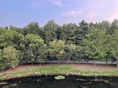 -明翠湖品·湖景餐厅