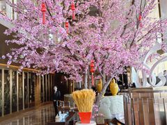 -金轩中餐厅 Jin Xuan(浦东丽思卡尔顿酒店)