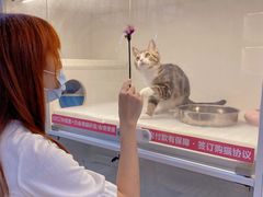 -lincat·猫舍(广州店)