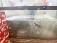 -肥鱼屯活鱼锅(惠工街店)