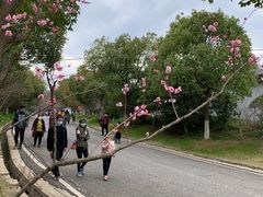 -南京市江宁方山