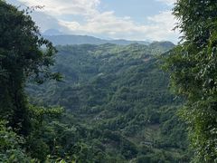 -凤栖山