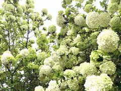 -大龙山(地铁站)