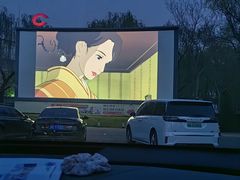 -枫花园汽车电影院(朝阳公园店)