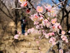 -云峰山自然风景区