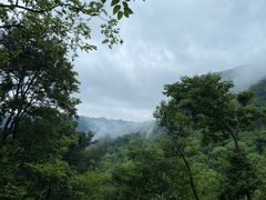 -黔灵山公园