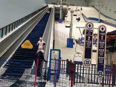 -哈尔滨热雪奇迹