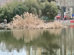 -洛阳市牡丹公园