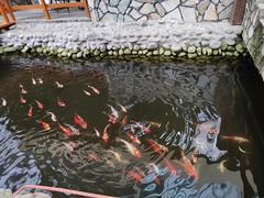 -龙熙温泉水世界