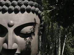 -杭州植物园
