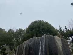 -合肥滨湖国家森林公园