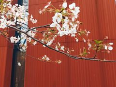 -中山公园