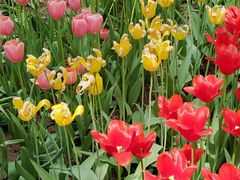 -国家植物园南园