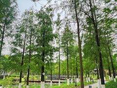 -映月湖公园