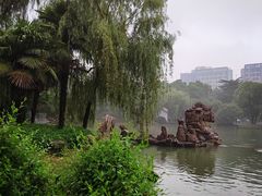 -西苑公园