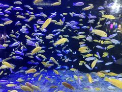 -成都浩海立方海洋公园