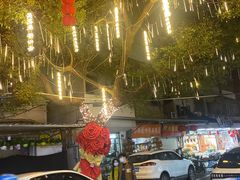 -溪岸路花鸟市场