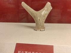 -王府井古人类文化遗址博物馆