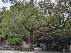 -金砂公园