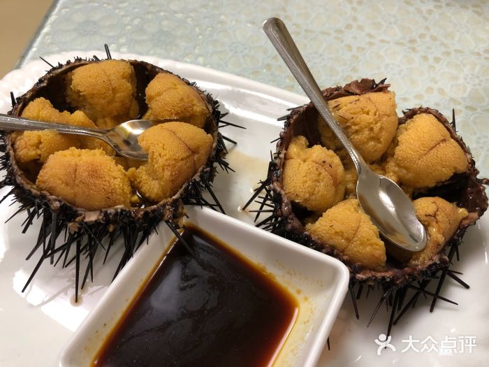 小平島海鮮舫-鮮海膽圖片-大連美食-大眾點評網