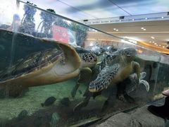 -鸿通城购物中心