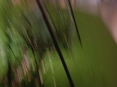 -金棕榈新百世纪影城