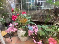 -老宅原住民沙茶面精品小吃(龙头路店)
