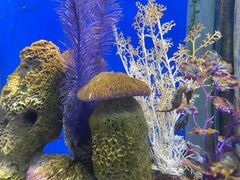 -海合安武汉极地海洋公园