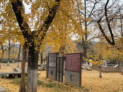 -长兴八都岕景区