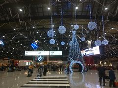 -谢列梅捷沃国际机场